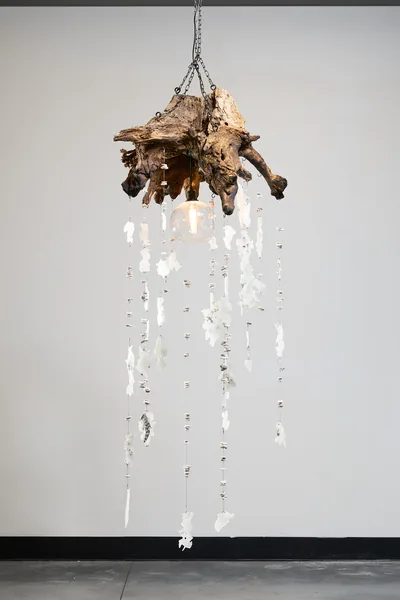 Roots by Ellie Lieber