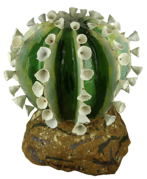 Big Cactus by Nan Wollman